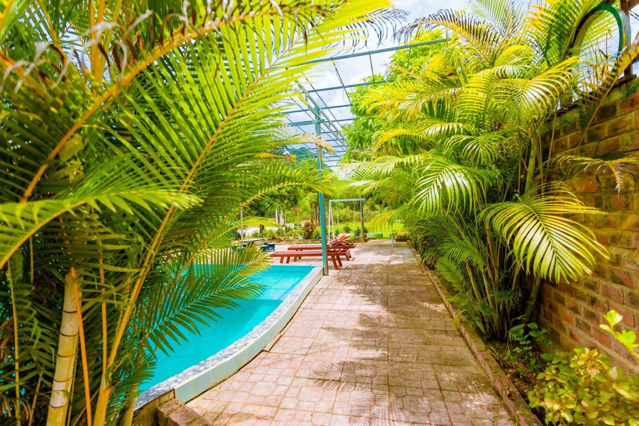 Phong Nha Amanda 2 Homestay Bagian luar foto